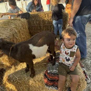 Bates Nut Farm - Petting zoo - Specialty Food Near Me - Valley Center, California