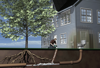 Slide of A1 Redi Rooter