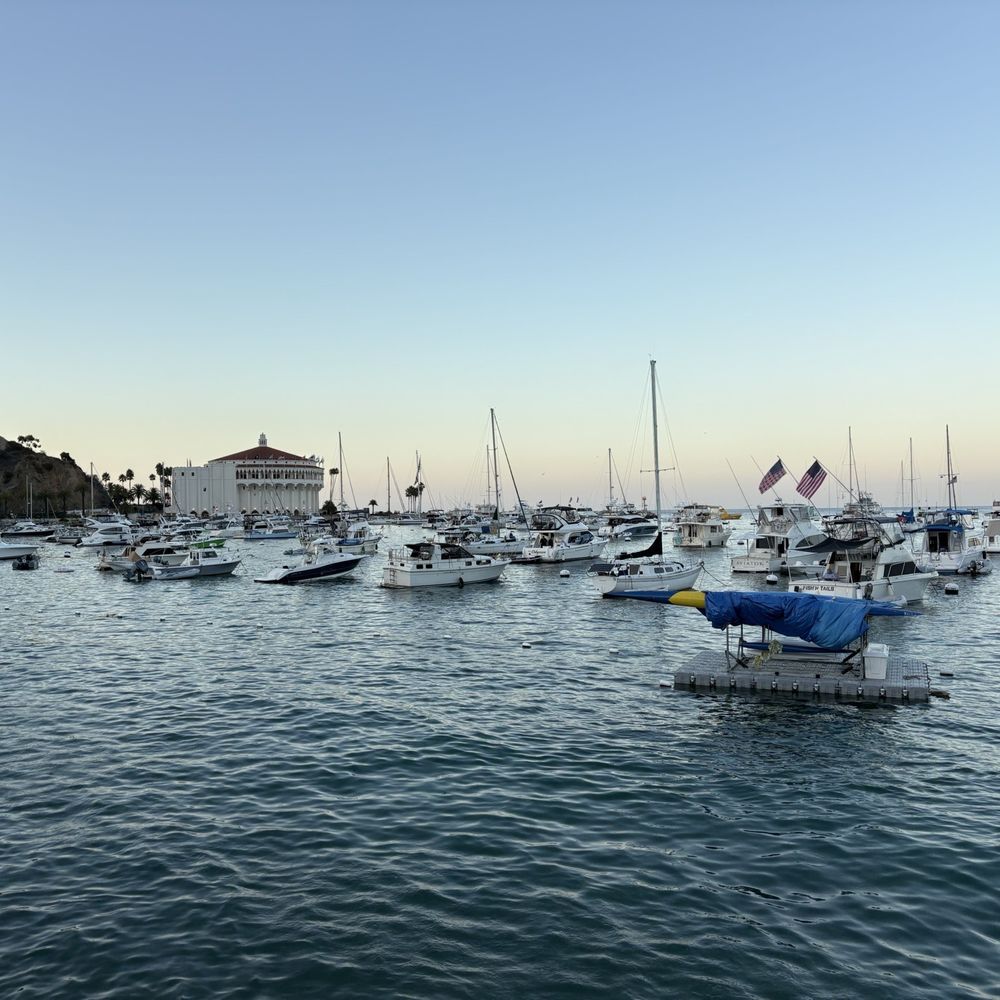 Bluewater Avalon - View from outdoor area - Seafood Near Me - Avalon, California