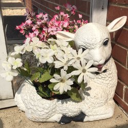 Little Lambs Day Care Center - Every adult at Little Lambs is caring, kind, and they build relationships with ALL the kids, which is so reassuring as a parent!
