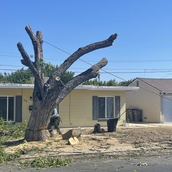 Soto’s Landscaping & Tree Service - Landscaping Near Me