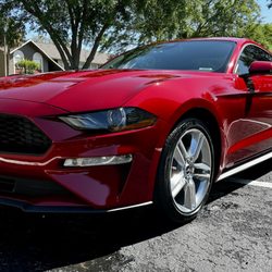 Florida Custom Tinting