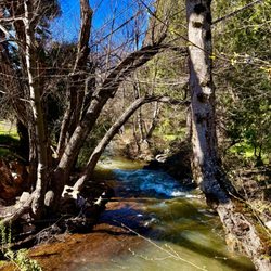 Murphys Taxi Service - Murphys creek