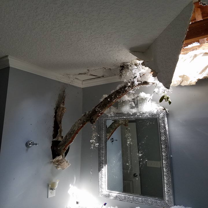 Slide of Red Stag Contracting