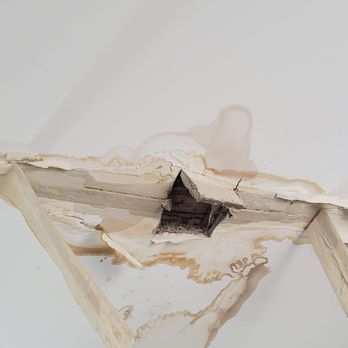 JF Public Adjusters - Water Damage Insurance Claims - Public Adjusters Near Me - Brooklyn, New York