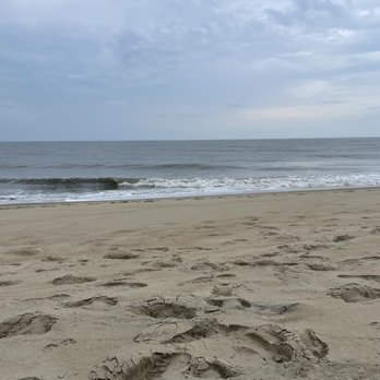 Fenwick Island State Park - Parks Near Me - Fenwick Island, Delaware Fenwick Island State Park - Parks Near Me - Fenwick Island, Delaware