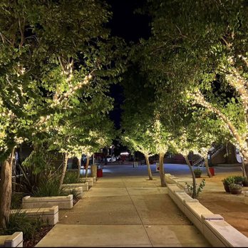 String Lights LA - Tree lights - Lighting Fixtures & Equipment Near Me - Glendale, California