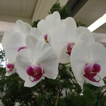 Noelani Elementary School - Elementary Schools Near Me - Honolulu, Hawaii