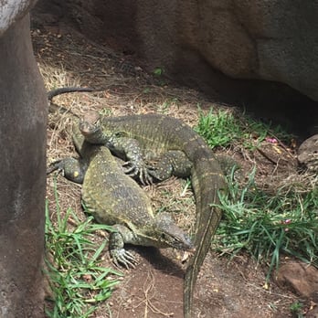 Honolulu Zoo - Zoos Near Me - Honolulu, Hawaii
