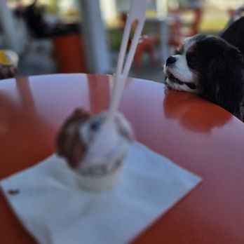 Gulino Gelato - Gelato Near Me - Half Moon Bay, California Gulino Gelato - Gelato Near Me - Half Moon Bay, California