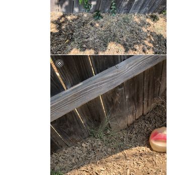 Maximum Lawn & Tree Services - a picture of a garden with a fence and a frisbee - Tree Services Near Me - Sacramento, California