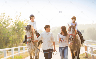 Brown Law Offices PLLC