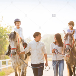 Brown Law Offices - Are your assets protected by a Will and/or a Revocable Living Trust ?