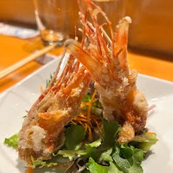 Ohshima Japanese Cuisine