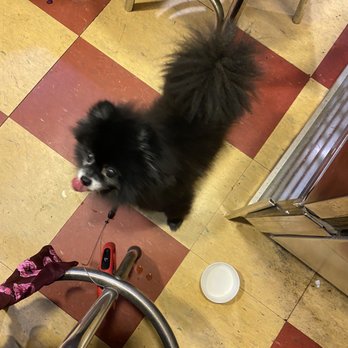 Farvahar Persian Cafe - They gave my baby some water - Middle Eastern Near Me - Seattle, Washington