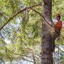 Photo of Love It Landscaping & Tree Service