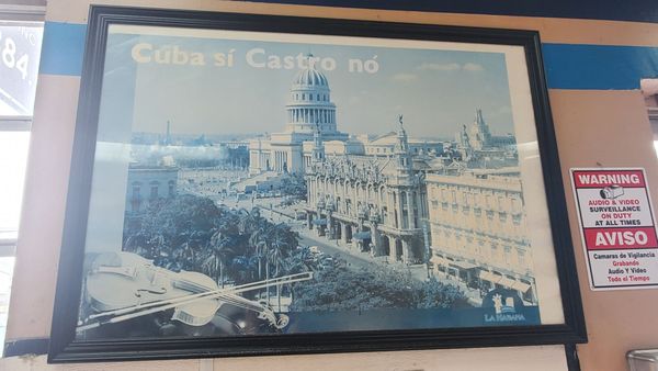 S & N Vegetables by null