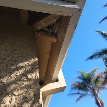 Attic Pros - Pest Control Near Me - Oakland, California