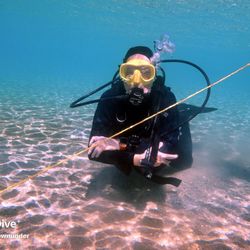 Dives Down Under
