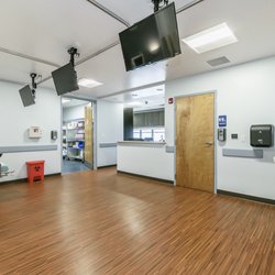 Minimally Invasive Vascular