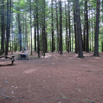 Kenneth L Wilson Campground - Campsite 26 in loop A - Campgrounds Near Me - Woodstock, New York Kenneth L Wilson Campground - Campsite 26 in loop A - Campgrounds Near Me - Woodstock, New York