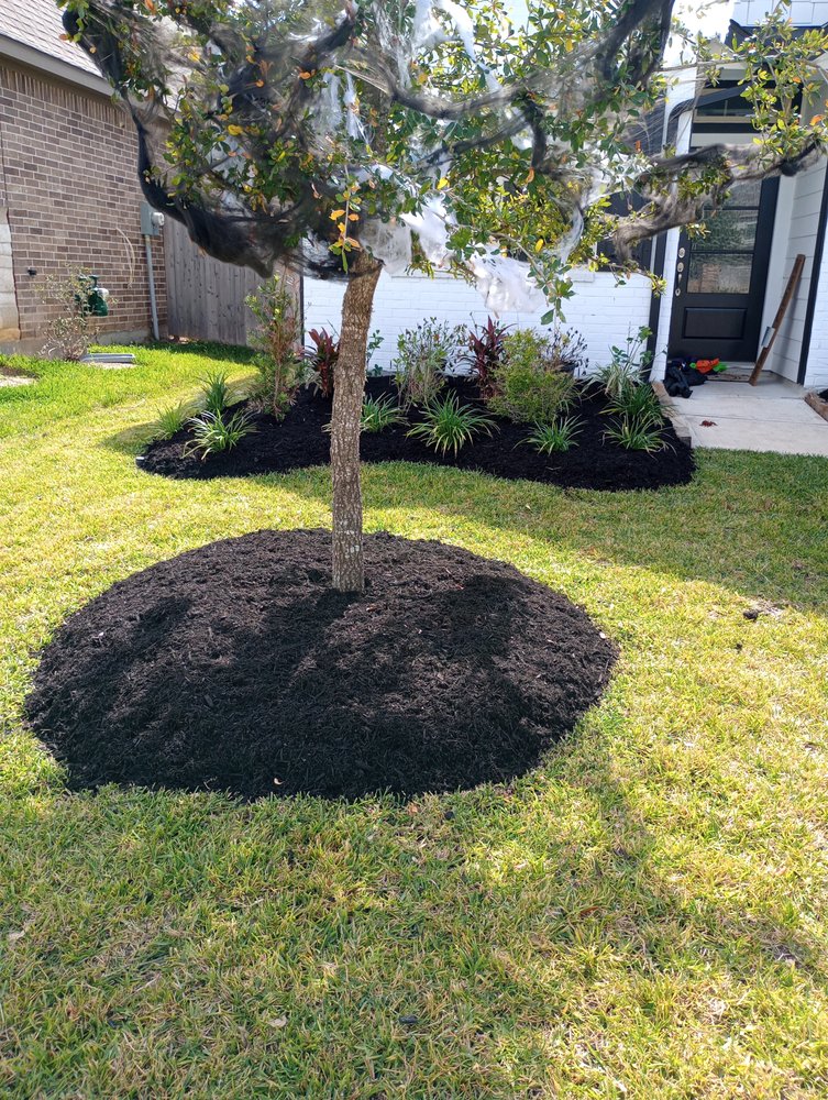 PEDRO GALARZA LAWN SERVICE Updated April 2024 Request a Quote