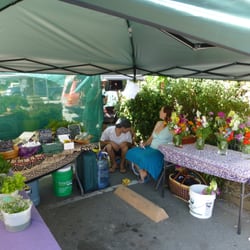 Sonoma County Farmer's Markets - Fresh herbs, flowers and specialty vegetables like kombu