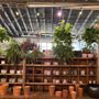 Redbud Garden Center