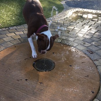 Levy Park - Unsure of the dog park fountain. - Dog Parks Near Me - Houston, Texas Levy Park - Unsure of the dog park fountain. - Dog Parks Near Me - Houston, Texas