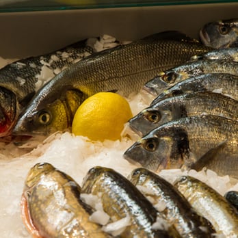 7 Meere - Fishmonger Near Me - Dachau, BY