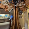 Catawba County Museum of History gift card