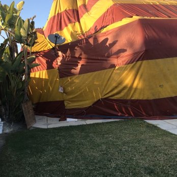 Hungry Termite - Pest Control Near Me Hungry Termite - Pest Control Near Me