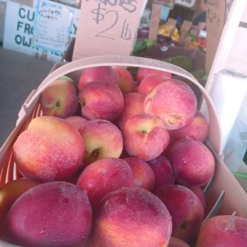 County Line Produce - Fruits & Veggies Near Me - Hastings, Florida County Line Produce - Fruits & Veggies Near Me - Hastings, Florida