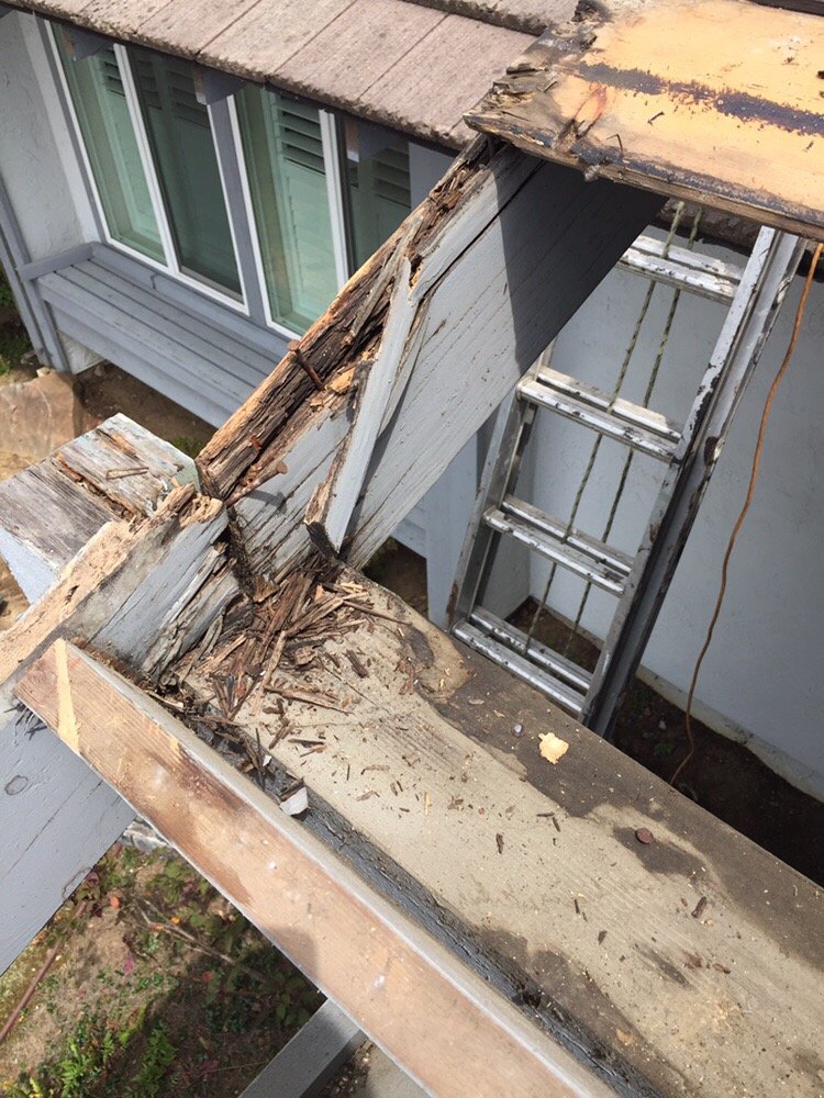 Slide of Beethovens Roofing Works