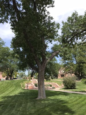 Rosemount Museum by null