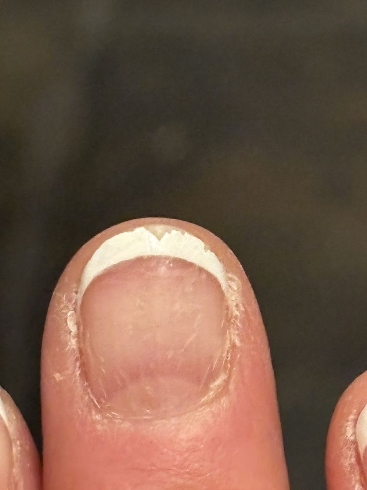 Paradise Nails & Spa Logo