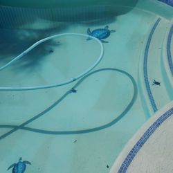 Dolphin Pool & Spa Center