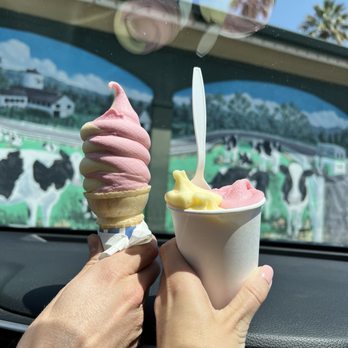 Meadowlark Dairy - Pineapple + strawberry combo, size small - Ice Cream & Frozen Yogurt Near Me - Pleasanton, California