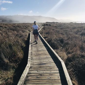 Sonoma Coast State Park - Walkway - Parks Near Me - Jenner, California Sonoma Coast State Park - Walkway - Parks Near Me - Jenner, California