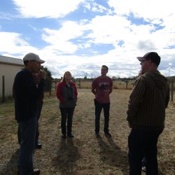 Hollywick Farms Alpacas - Learning about the alpacas