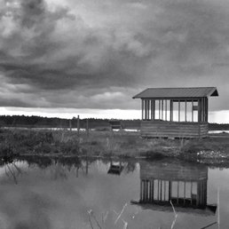 Black and white photos resting area Black and white photos resting area