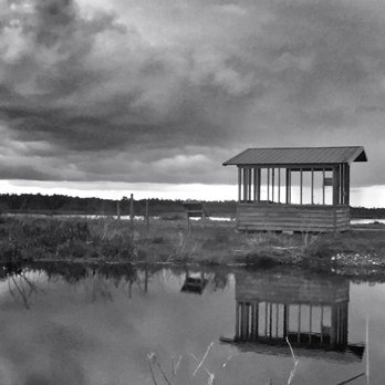Circle B Bar Reserve - Black and white photos resting area - Hiking Near Me - Lakeland, Florida Circle B Bar Reserve - Black and white photos resting area - Hiking Near Me - Lakeland, Florida