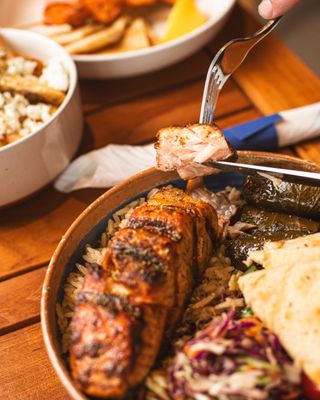 The Gyro Project by null