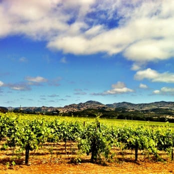 Robert Biale Vineyards - Wine Tours Near Me - Napa, California