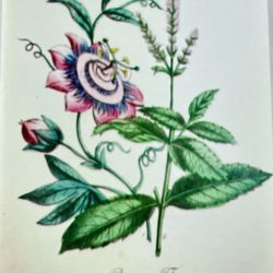 Sierra Club - Posted with review 05/02/24