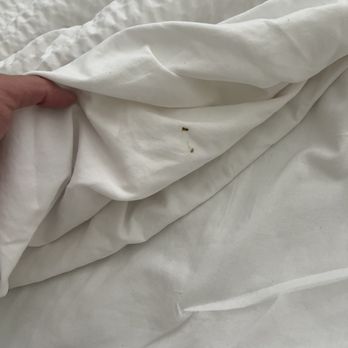 Hotel La Croix - Also noticed on the other bed - Hotels Near Me - Honolulu, Hawaii