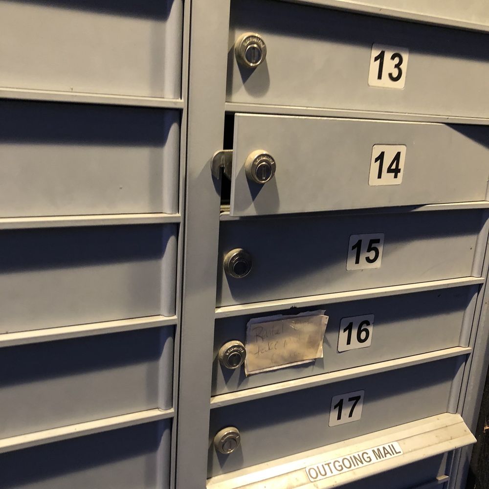 Mail carrier leaves my Mailbox open with today's mail inside.