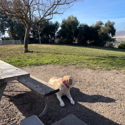 Robertson Park - North Meadow Dog Park