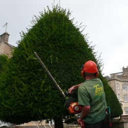 Bobby's Plant & Lawn Services