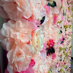 Backdrop rental